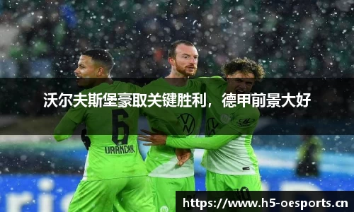 沃尔夫斯堡豪取关键胜利，德甲前景大好