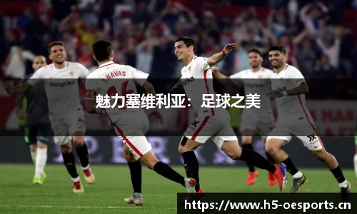 魅力塞维利亚：足球之美