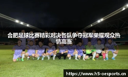 合肥足球比赛精彩对决各队争夺冠军荣耀观众热情高涨